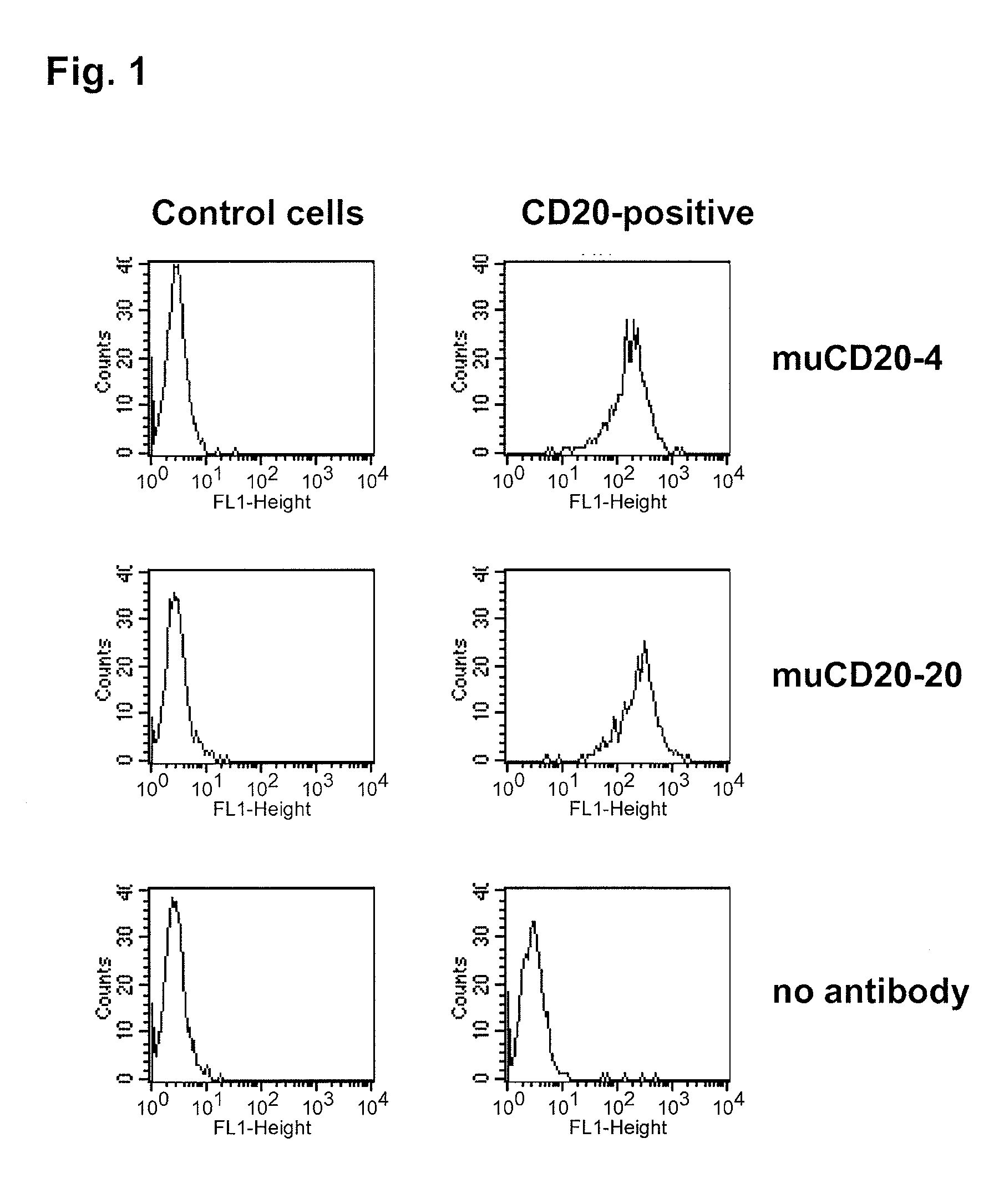 Cd20 antibodies and uses thereof