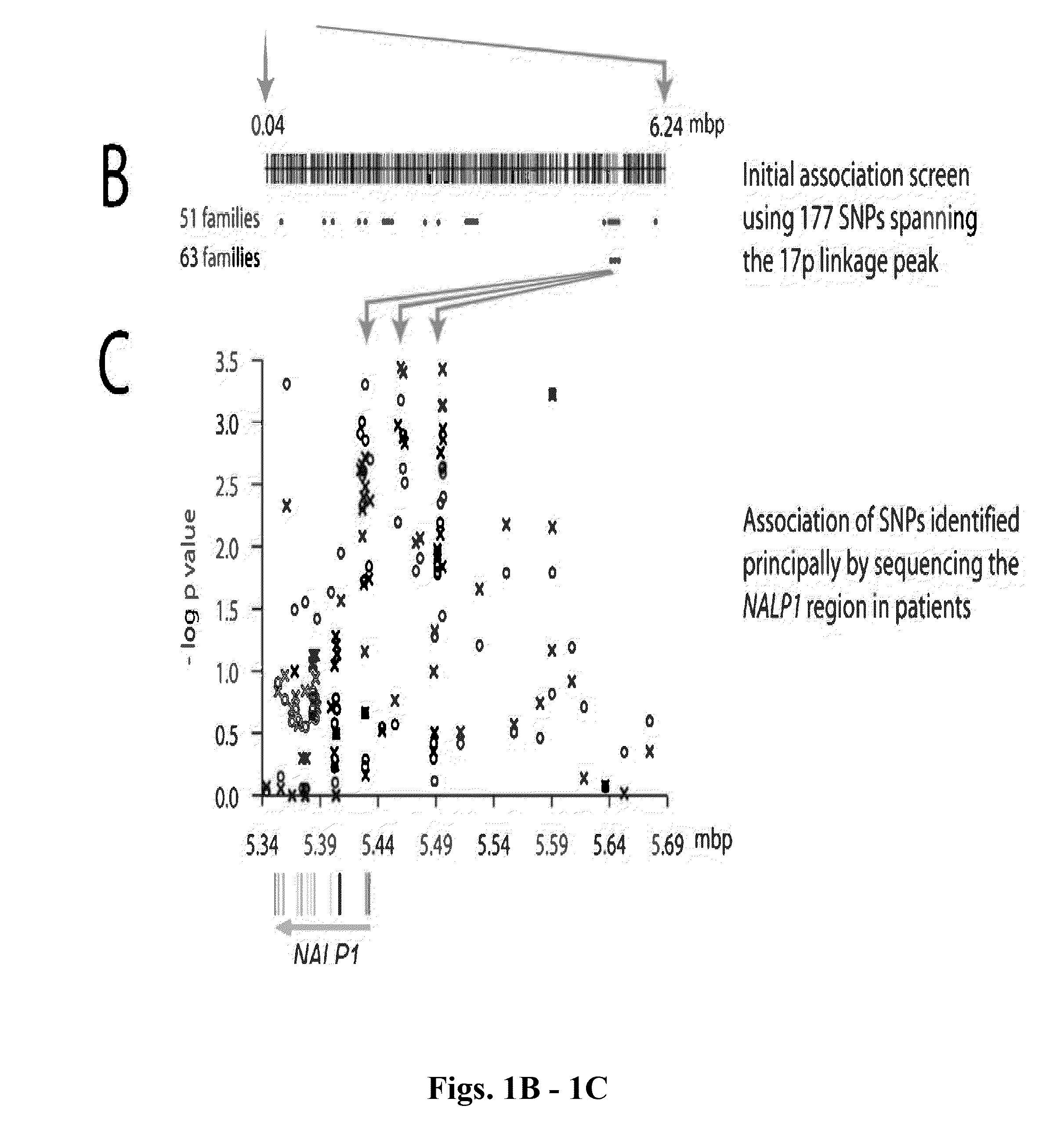 Gene and pathway and their use in methods and compositions for predicting onset or progression of autoimmune and/or autoinflammatory diseases