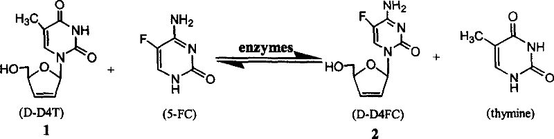 Synthesis method of 5-fluorocytidine