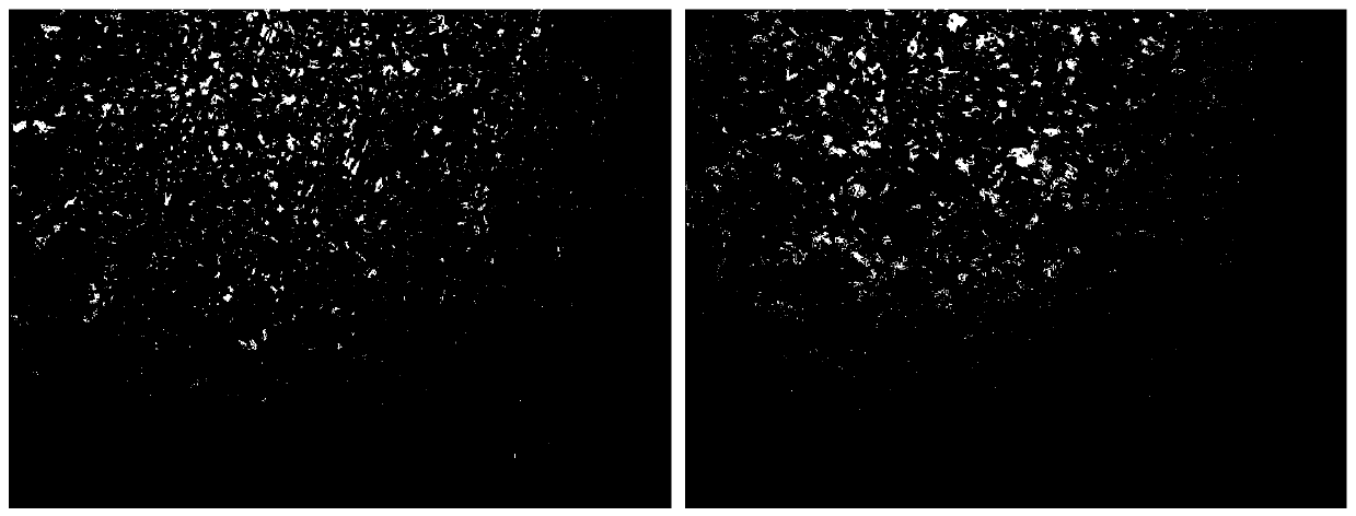 High-strength high-fracture-toughness aluminum alloy bar and preparation method thereof