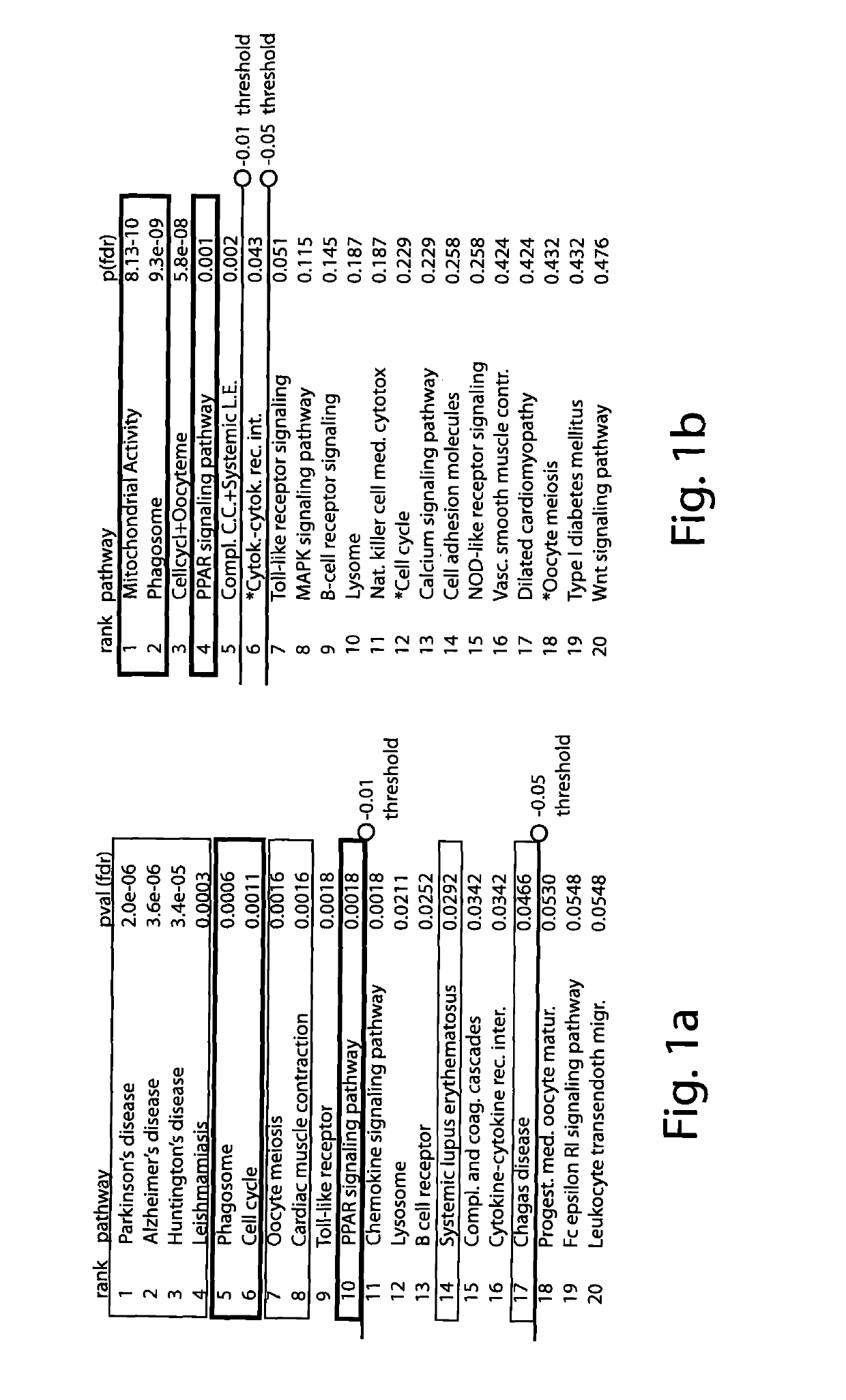 Genetic, metabolic and biochemical pathway analysis system and methods