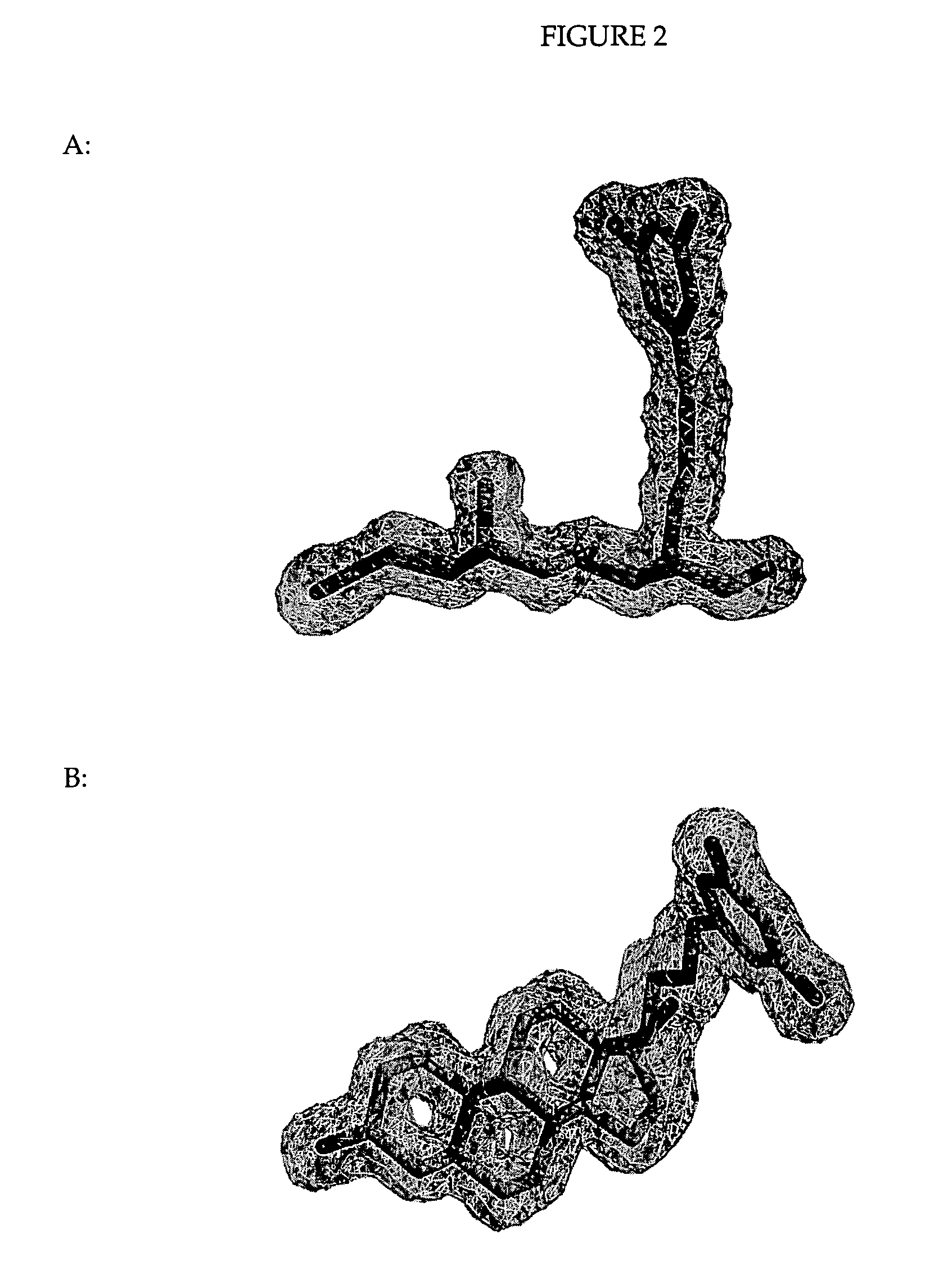 Helix 12 directed non-steroidal antiandrogens