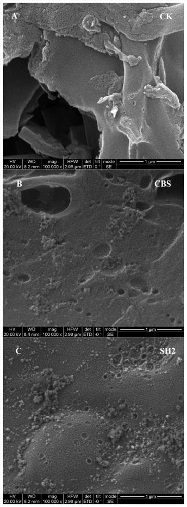 Hierarchical porous carbon material, and preparation method and application thereof