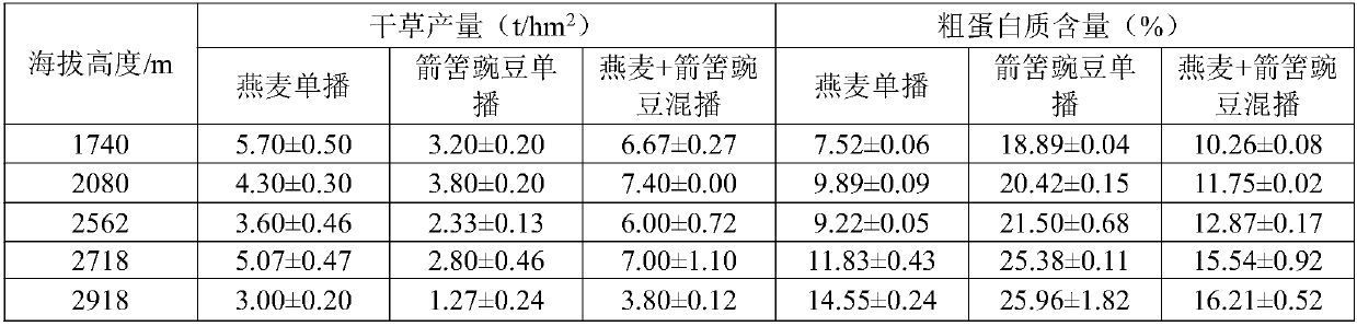 Mixed seeding and plants building method of oats and common vetches in different altitude areas of Qinghai-Tibet Plateau