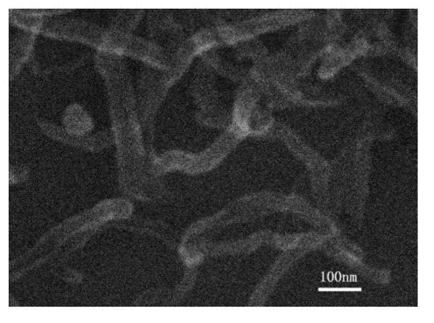 Nitrogen-doped graphene nanoribbons and preparation method thereof