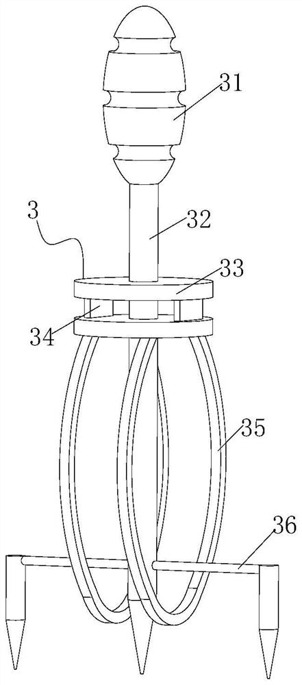 Efficient fish descaling equipment for aquatic products