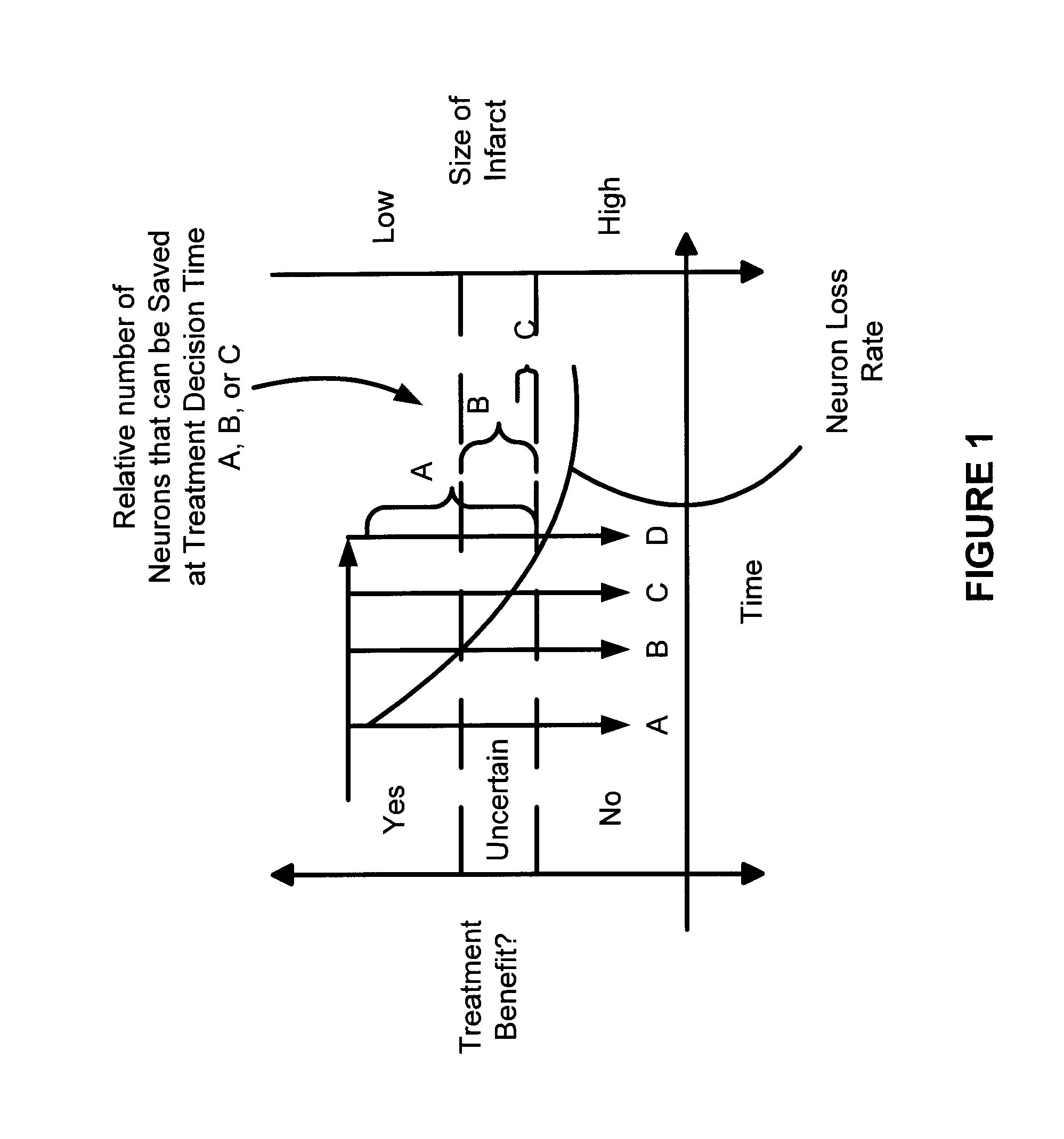 Systems and methods for diagnosing strokes