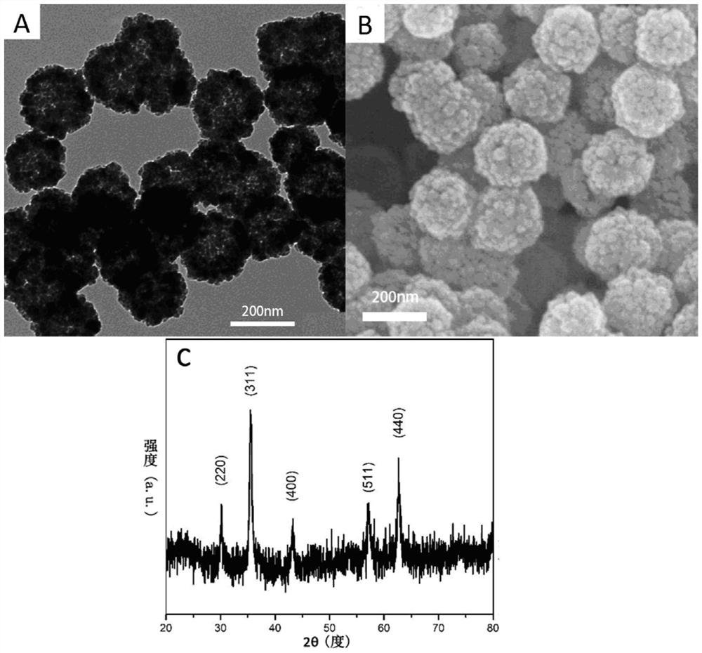 A kind of magnetic nano material and its preparation method and application in radioactive element treatment