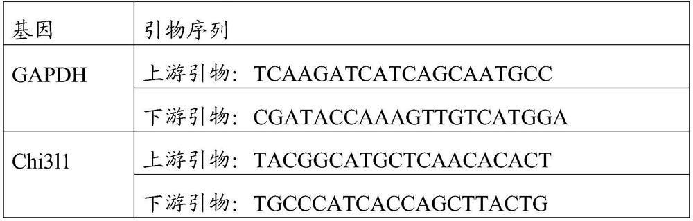 Application of Chi3l1 in regulation and control of immune regulation effect of hUC-MSCs for inhibiting Th17 differentiation meditation