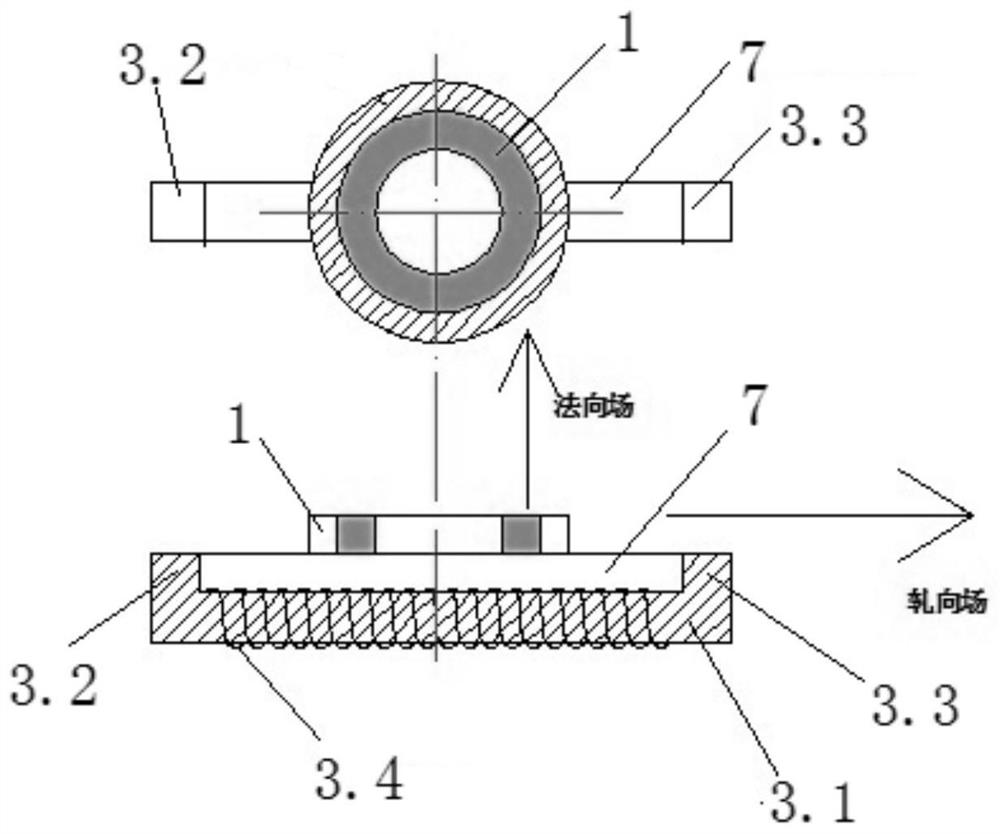 System and method for simultaneous observation of grains and magnetic domains of grain-oriented silicon steel