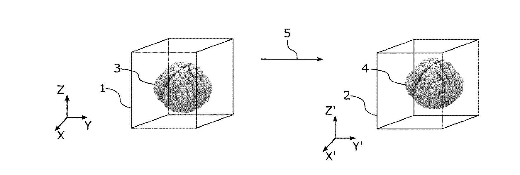 Topology-preserving roi remapping method between medical images