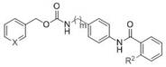Anthranilamide compound based on entinostat framework as well as preparation and application of anthranilamide compound