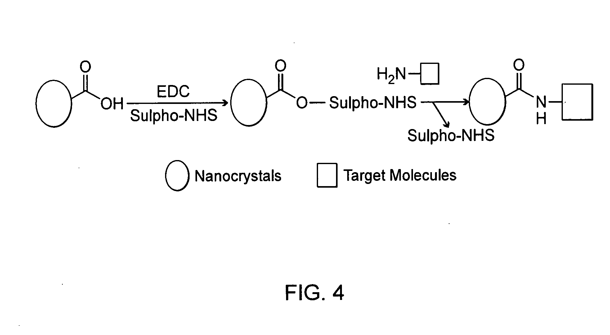 Water-stable III-V semiconductor nanocrystal complexes and methods of making same