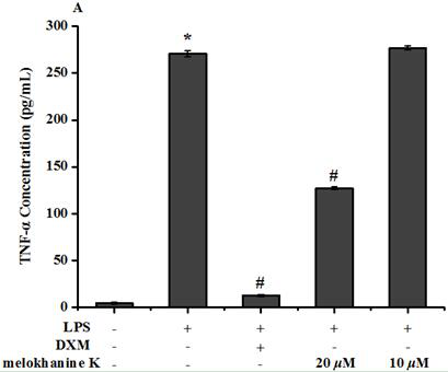 Quinaine-quinoline type dimer indole alkaloid compound and its application