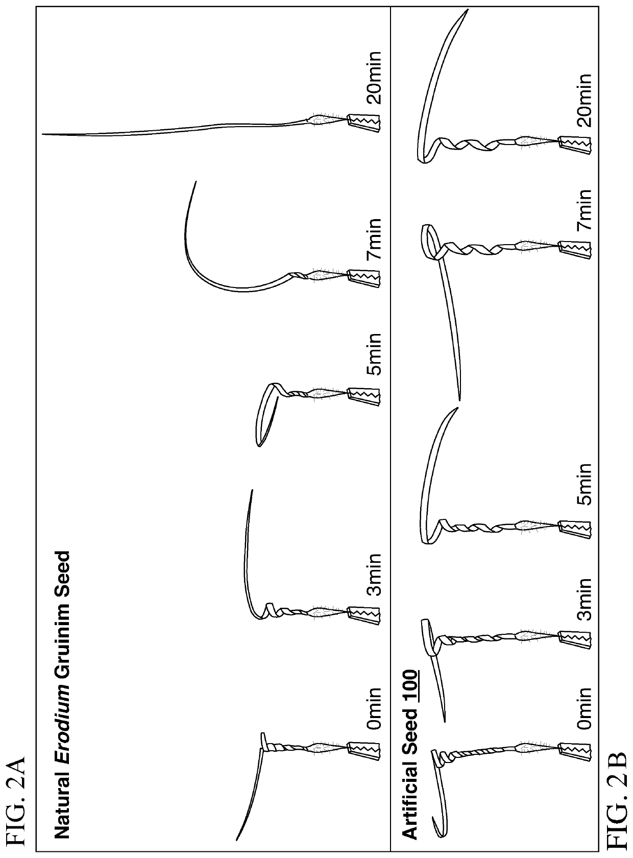 Methods and devices for biomimetic hygromorphic composite