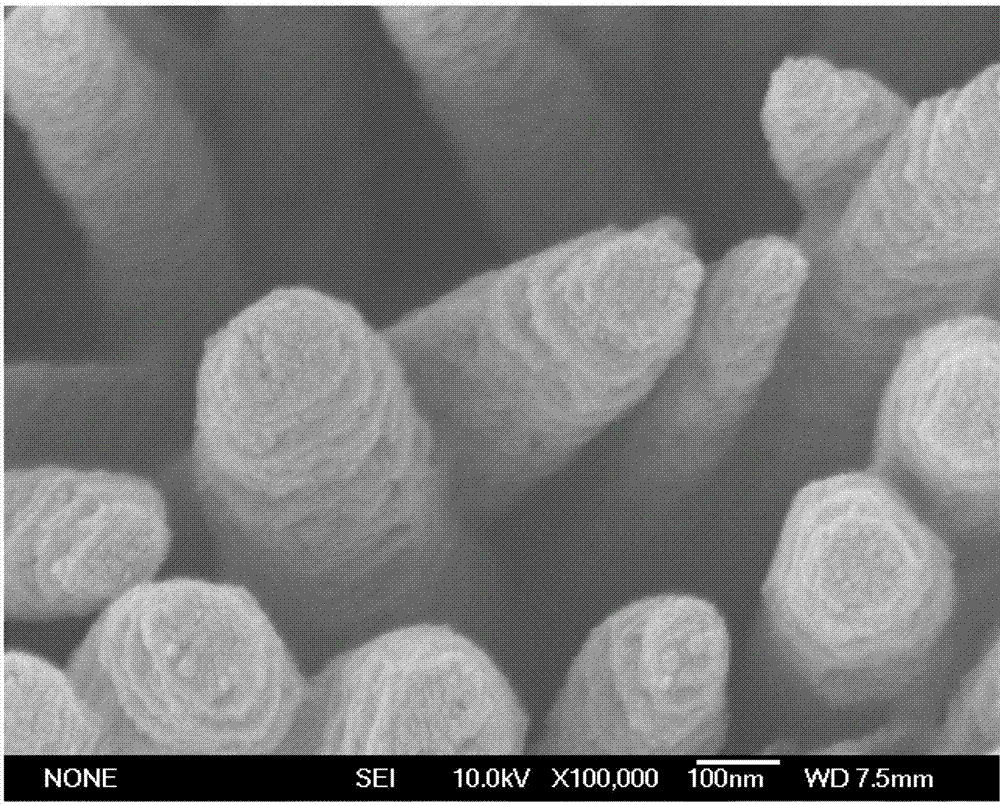 Porous carbon nanorod array electrode and preparation method thereof