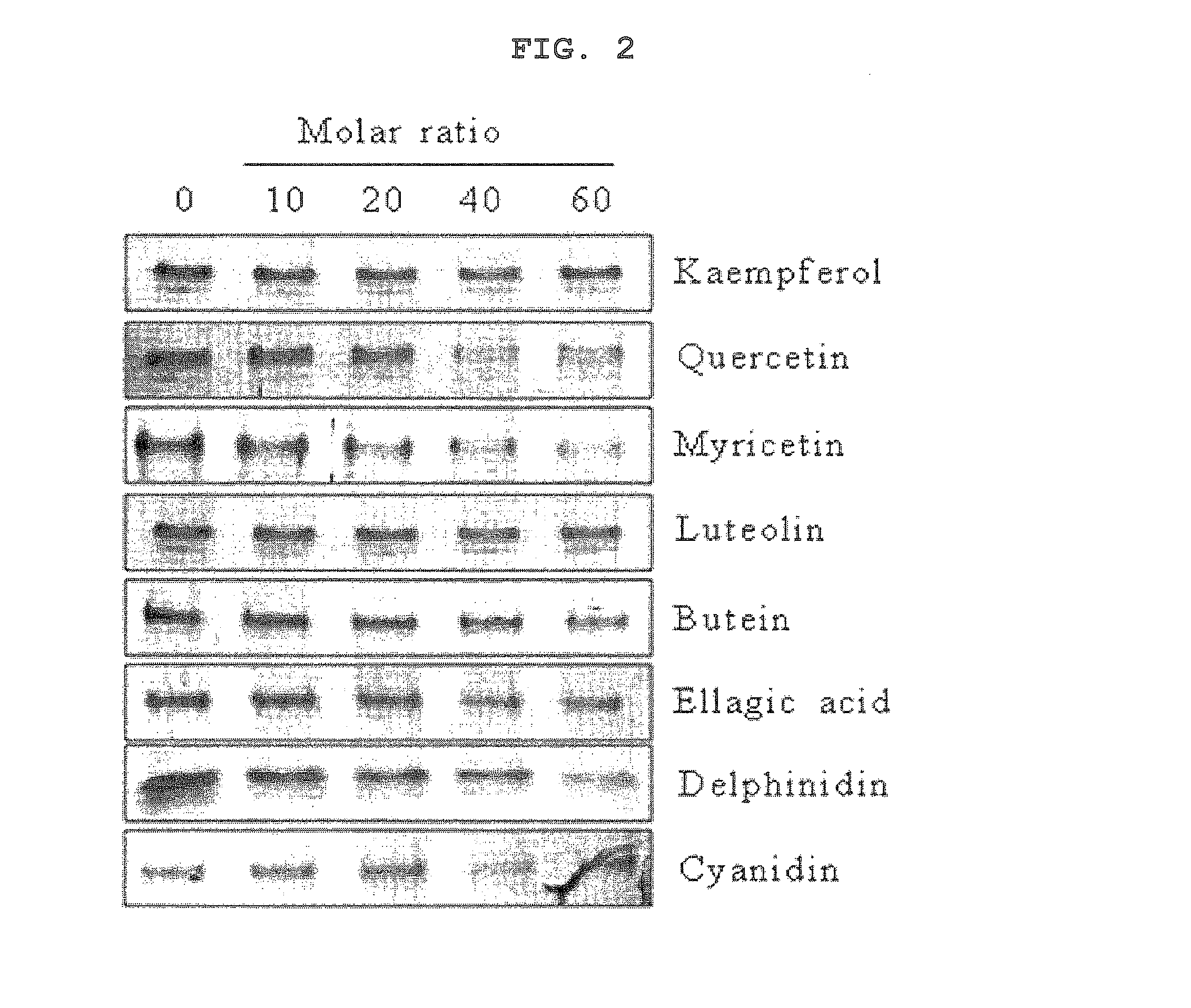 Polyphenol compounds with modulating neurotransmitter release