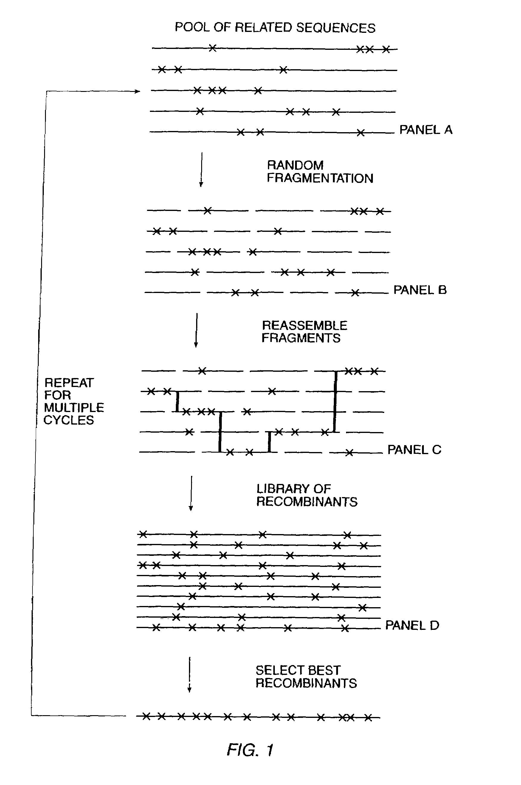 Methods and compositions for cellular and metabolic engineering