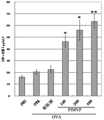 Alcohol-precipitated panax japonicus polysaccharide, and preparation method and application thereof