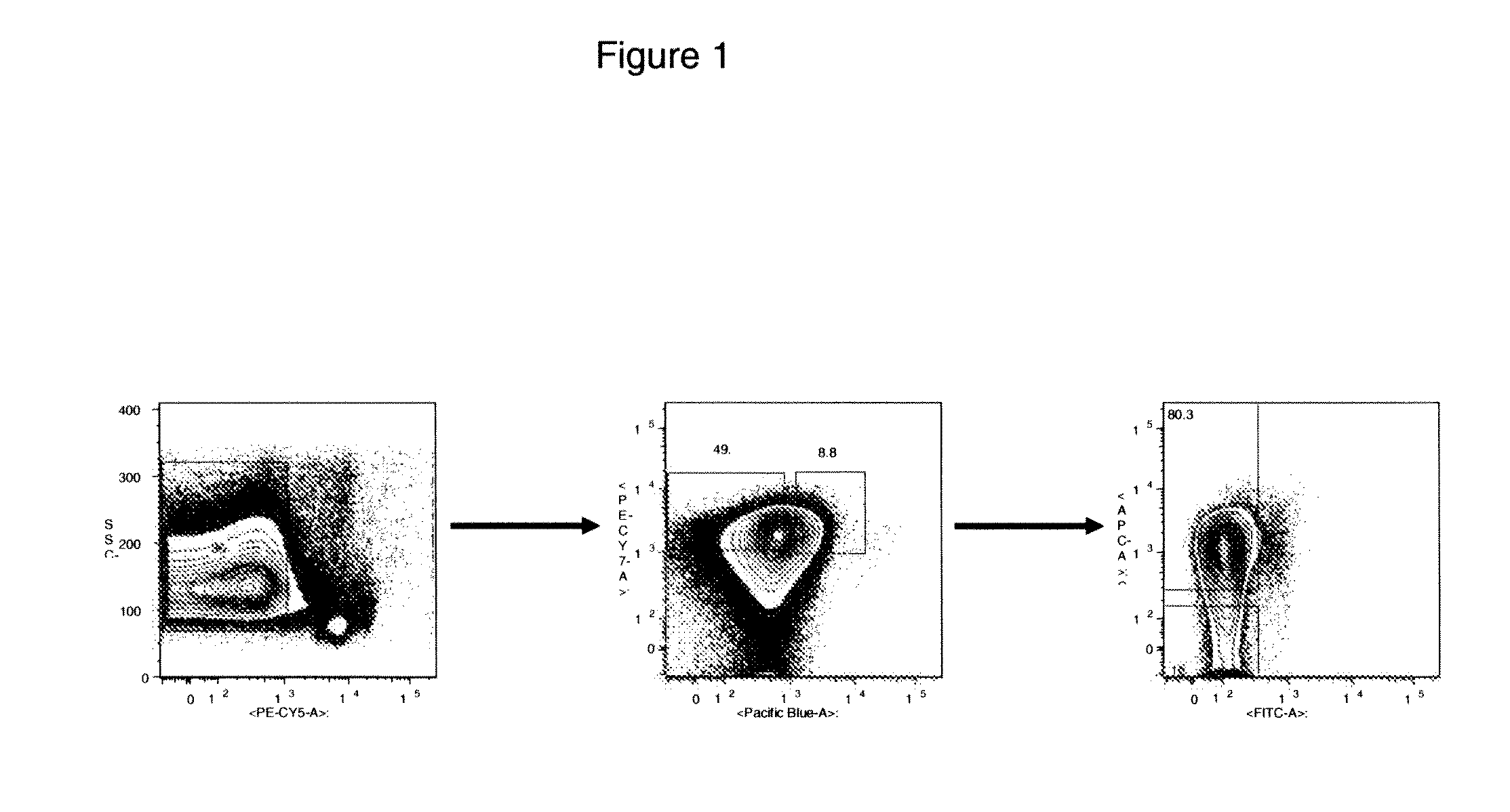 Immunoglobulin and/or Toll-Like Receptor Proteins Associated with Myelogenous Haematological Proliferative Disorders and Uses Thereof