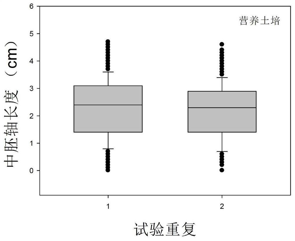 A method for identifying the mesocotyl elongation ability of dry-seeded rice