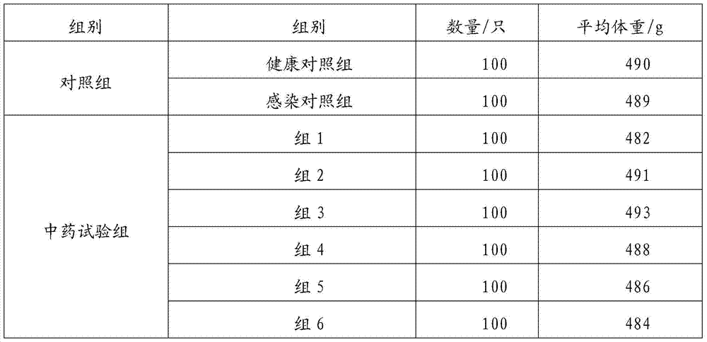 A kind of traditional Chinese medicine composition against chicken colibacillosis and preparation method thereof