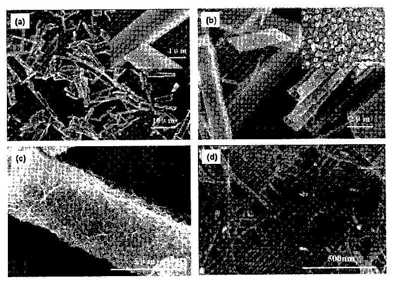 Porous manganese dioxide of nanofibre texture and preparation method thereof