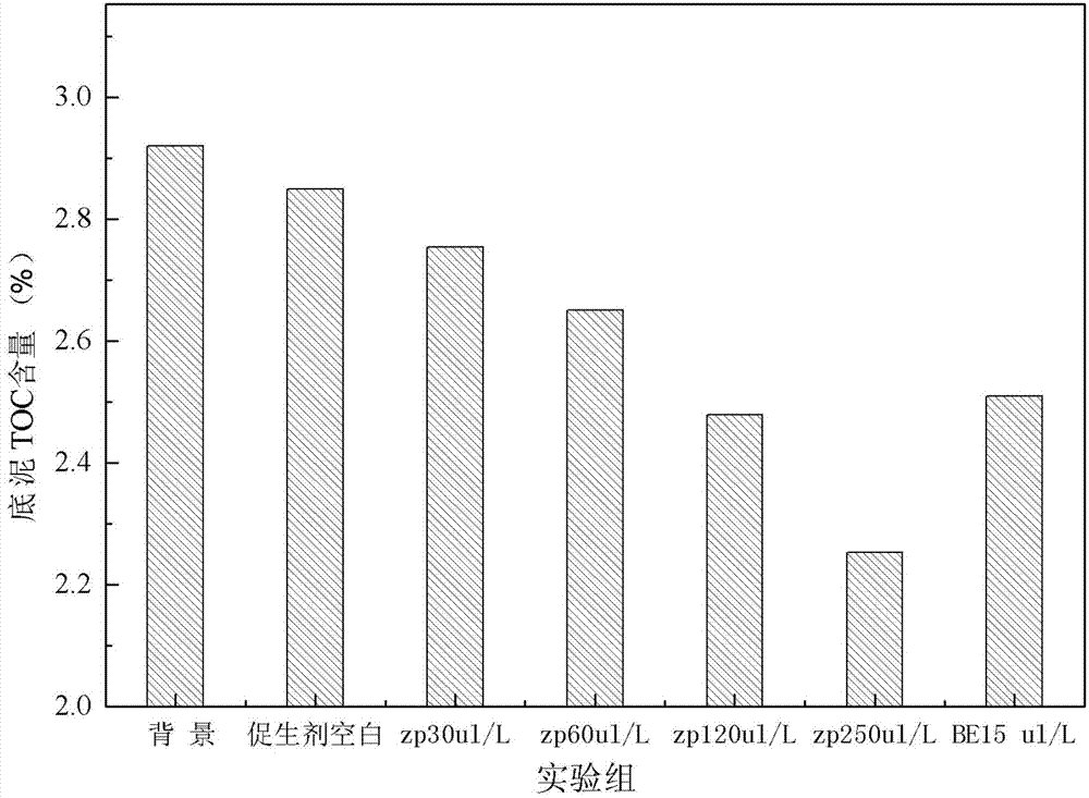 Composite bio-energizer used for in-situ ecological remediation of polluted river sediment