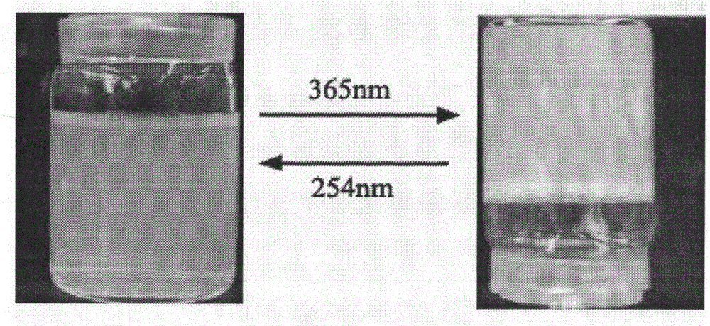 A kind of photoresponsive reversible chitosan hydrogel and preparation method thereof