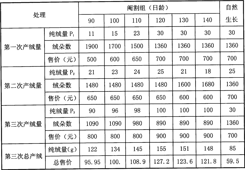 Method for improving quality and increasing yield of gander down