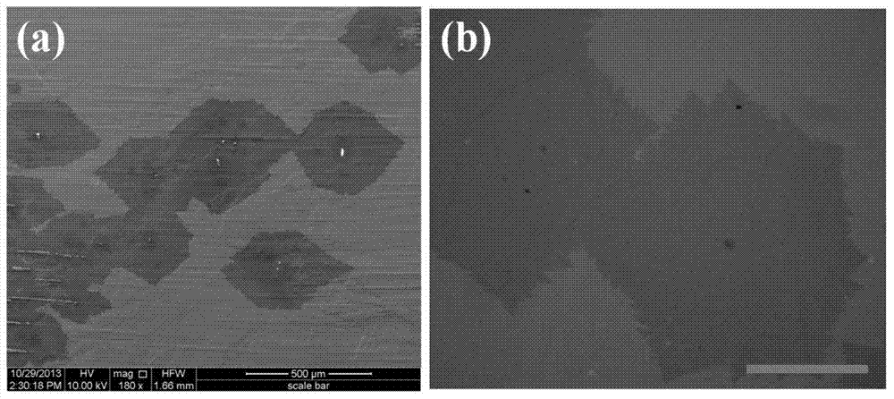 A kind of method for preparing single crystal graphene