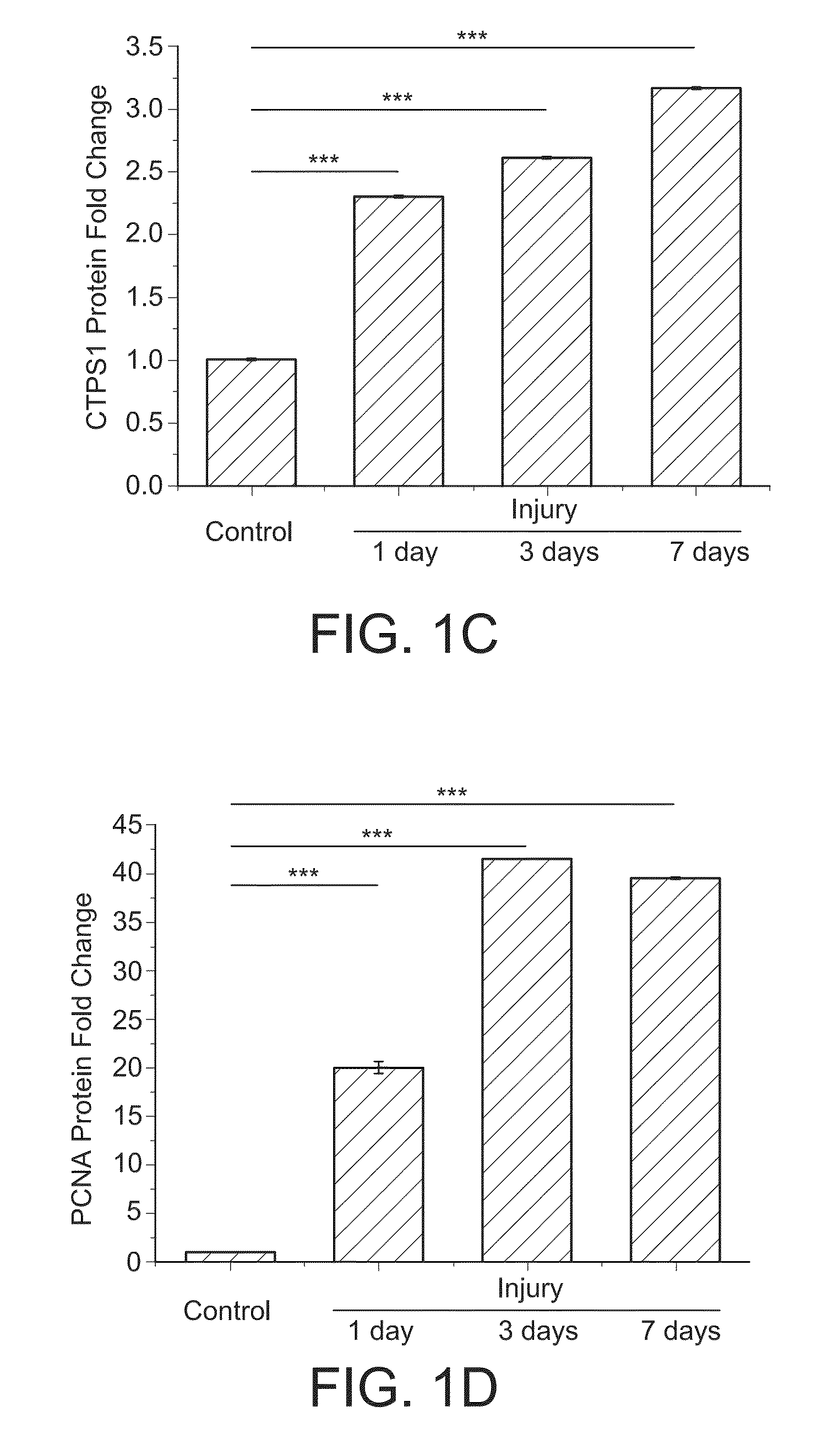 Compositions and Methods for Reducing Neointima Formation
