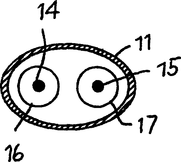 Instrument with at least two active radio-frequency wires for treatment of tumours