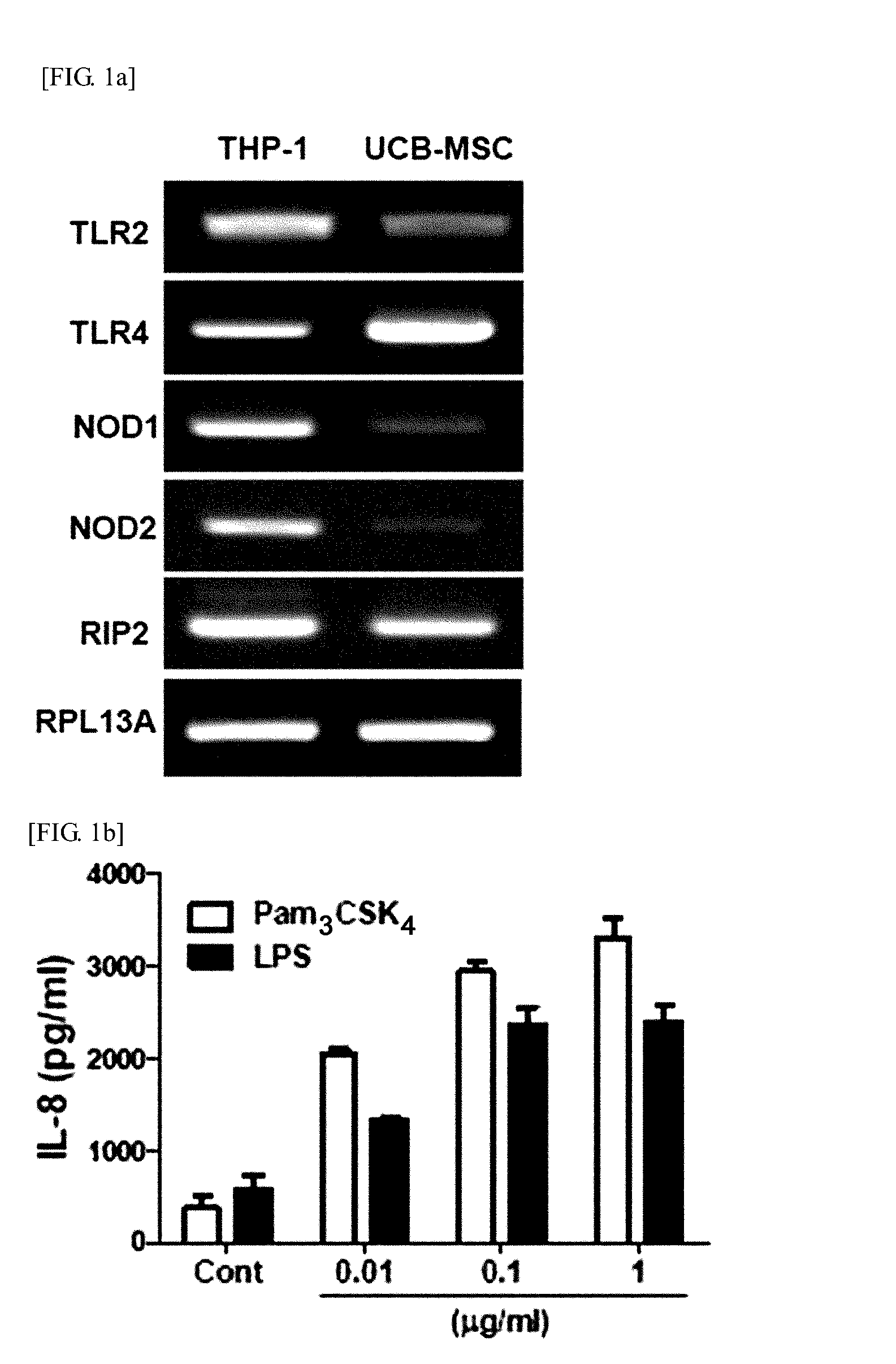 Pharmaceutical Composition Comprising Stem Cells Treated with NOD2 Agonist or Culture Thereof for Prevention and Treatment of Immune Disorders and Inflammatory Diseases