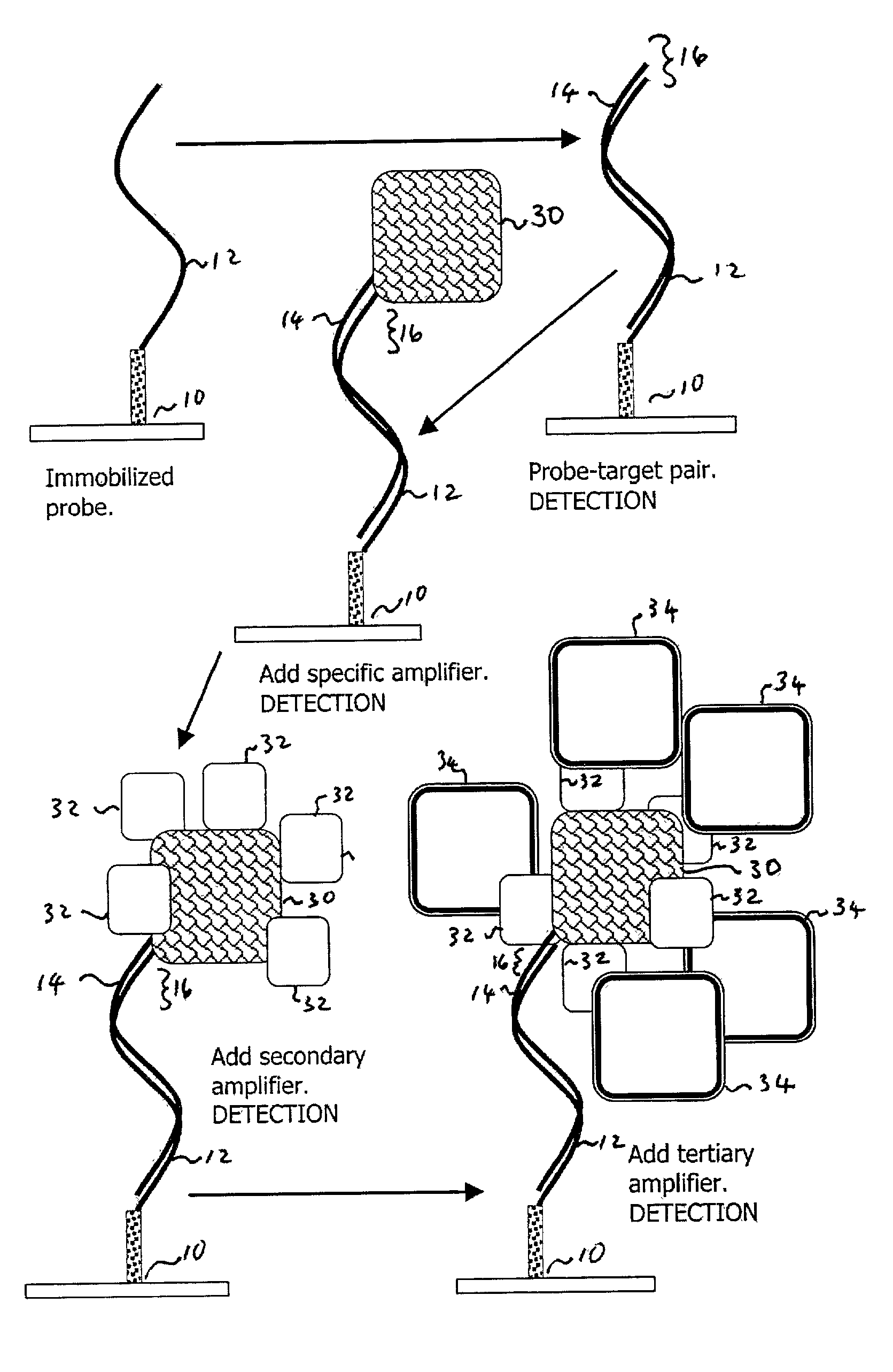 Method and apparatus for recognizing molecular compounds