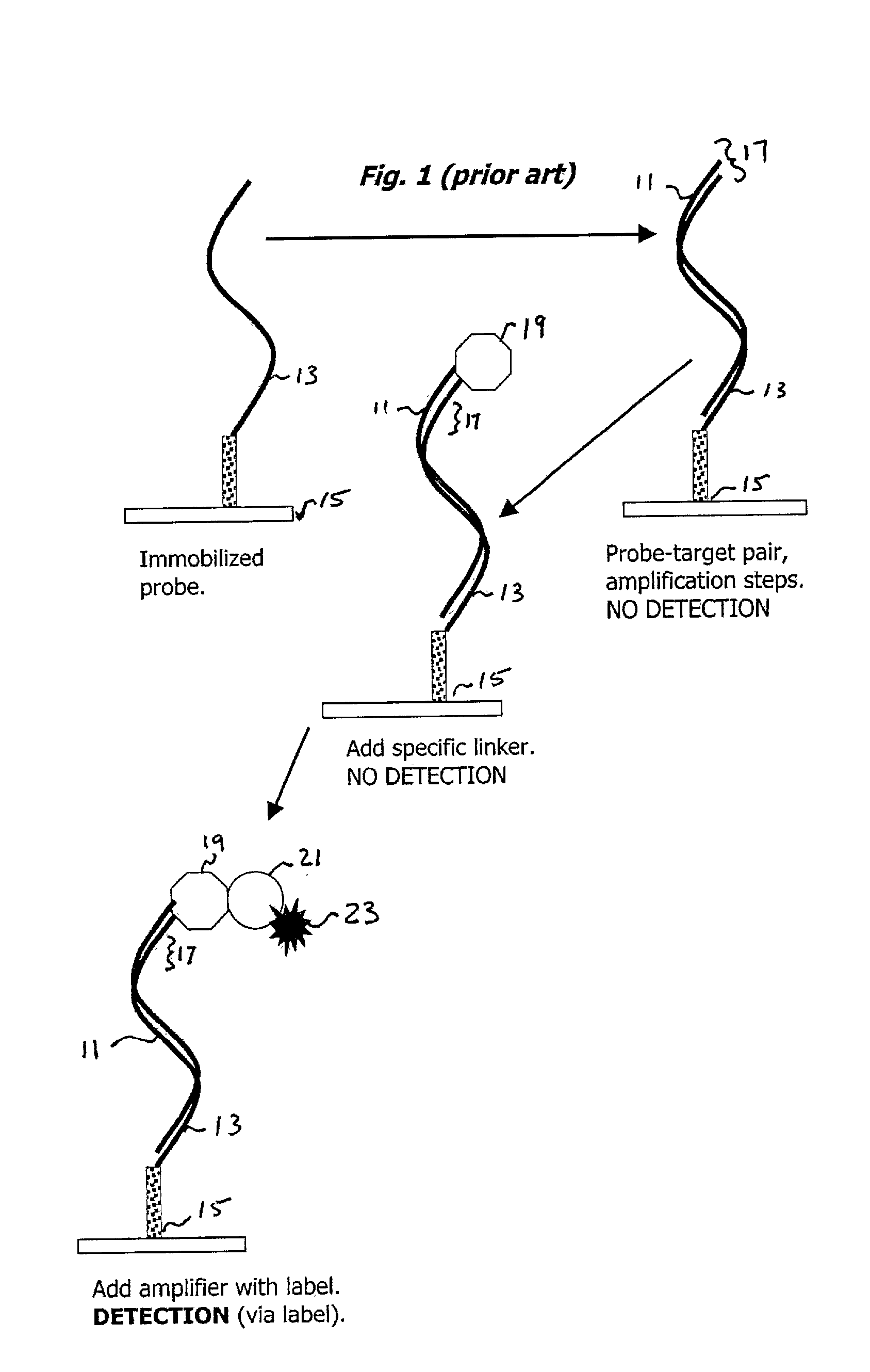 Method and apparatus for recognizing molecular compounds