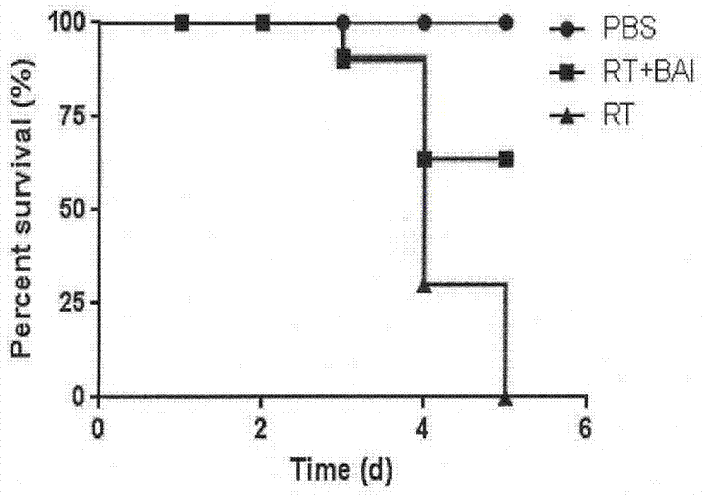 Application of baicalin in preparation of medicine for treating ricin poisoning