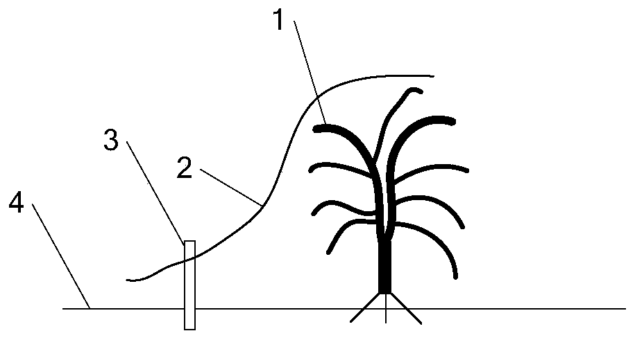 Citrus reserved tree preservative film fixing equipment and preservative film fixing method