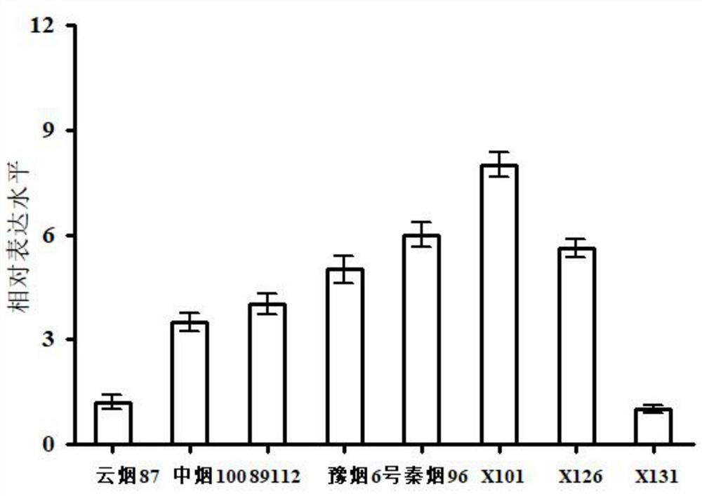 A kind of tobacco oa1 gene, primer and application