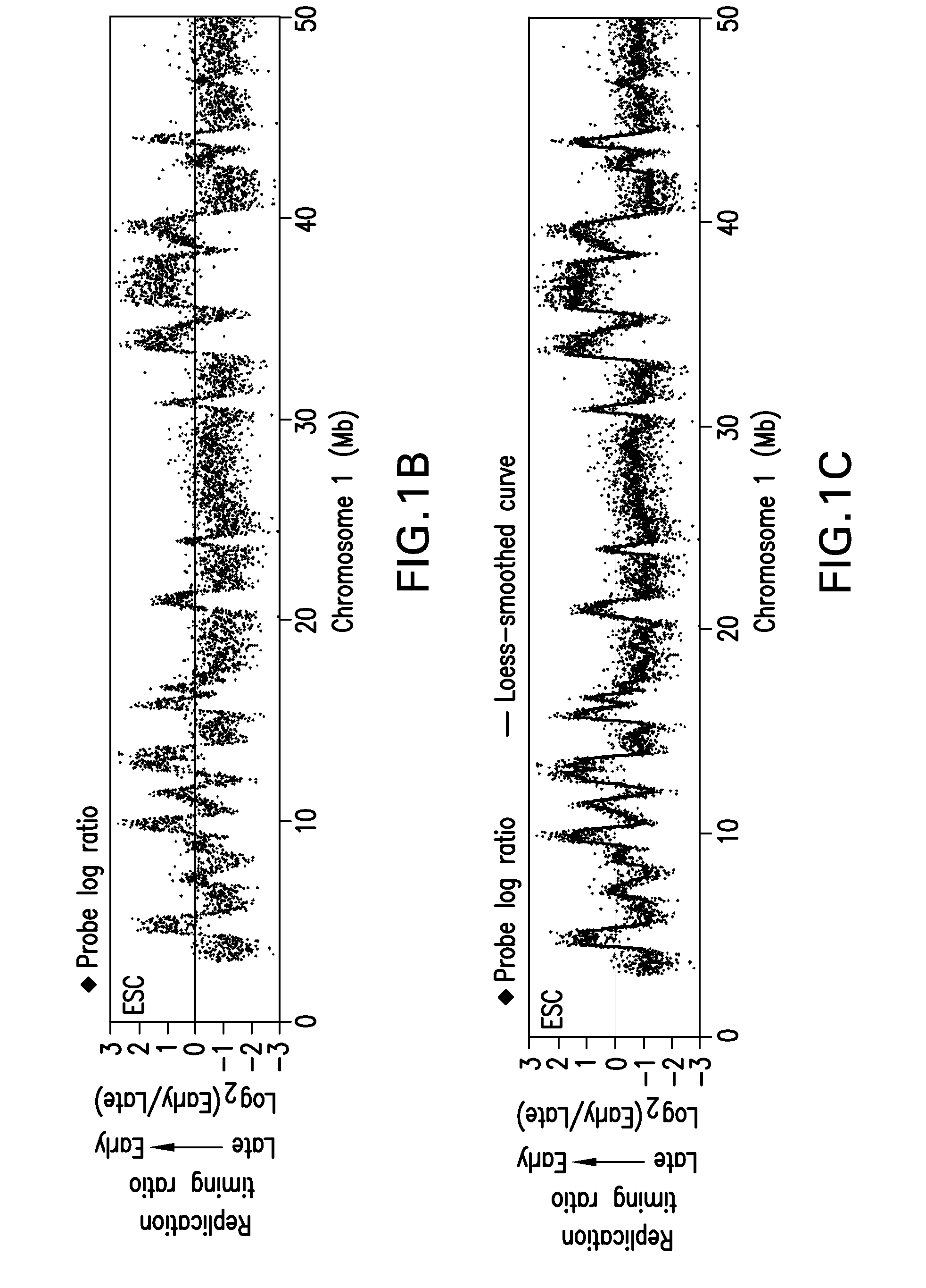 Method for identifying cells based on DNA replication domain timing profiles