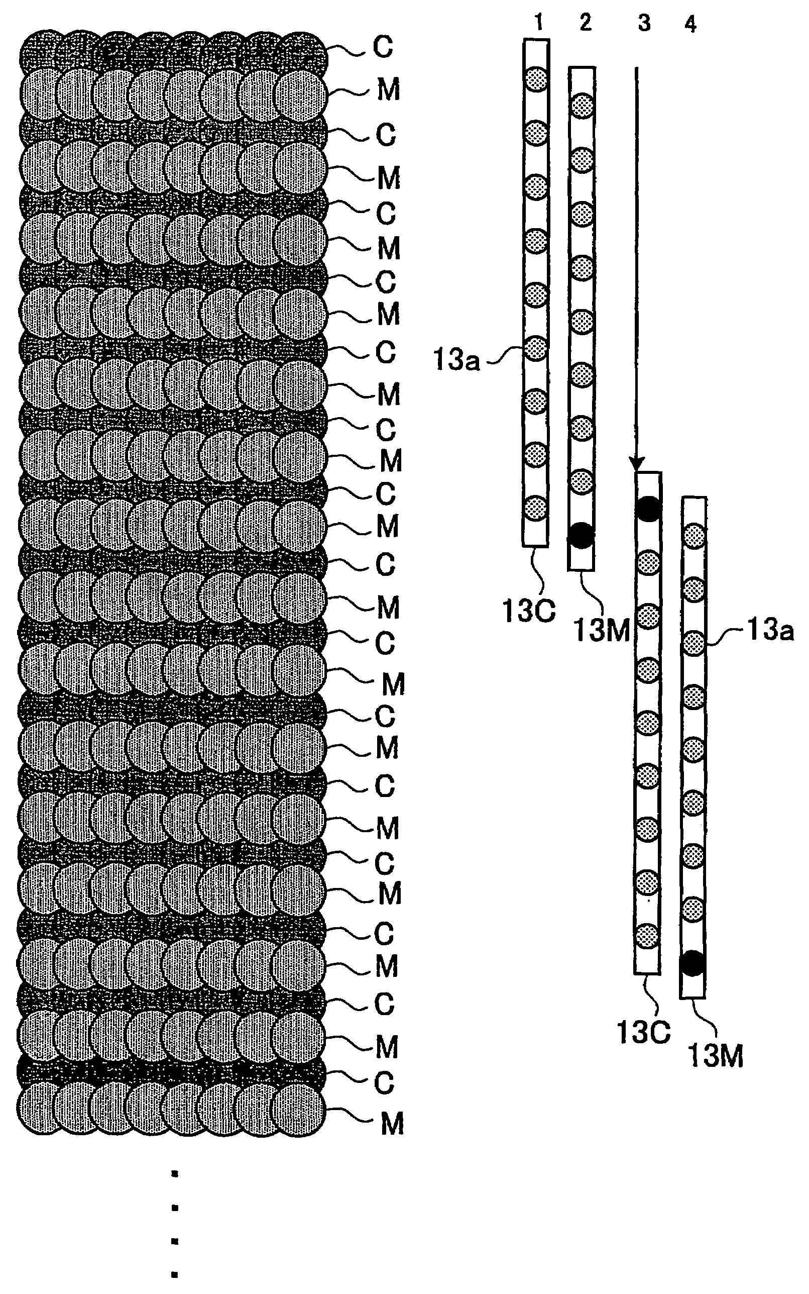 Ink jet printing device and image forming apparatus