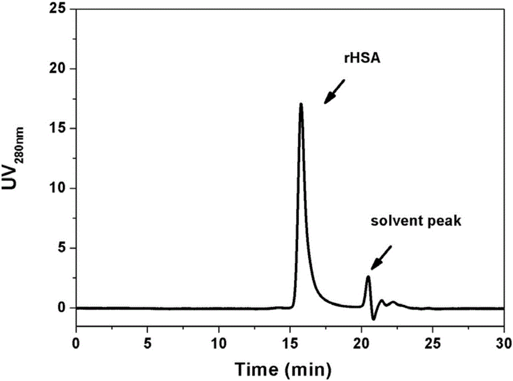 Method for separating human serum albumin by expanded bed adsorption based on mixed mode