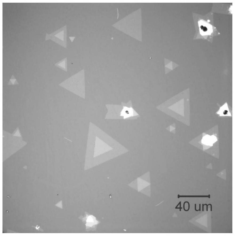 Method for growing multilayer tungsten diselenide single crystal by molten salt assisted chemical vapor deposition