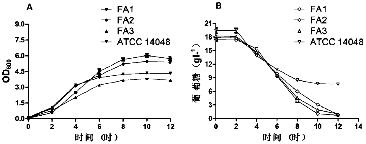 Three newly-separated vibrio fast-growing strains and application thereof