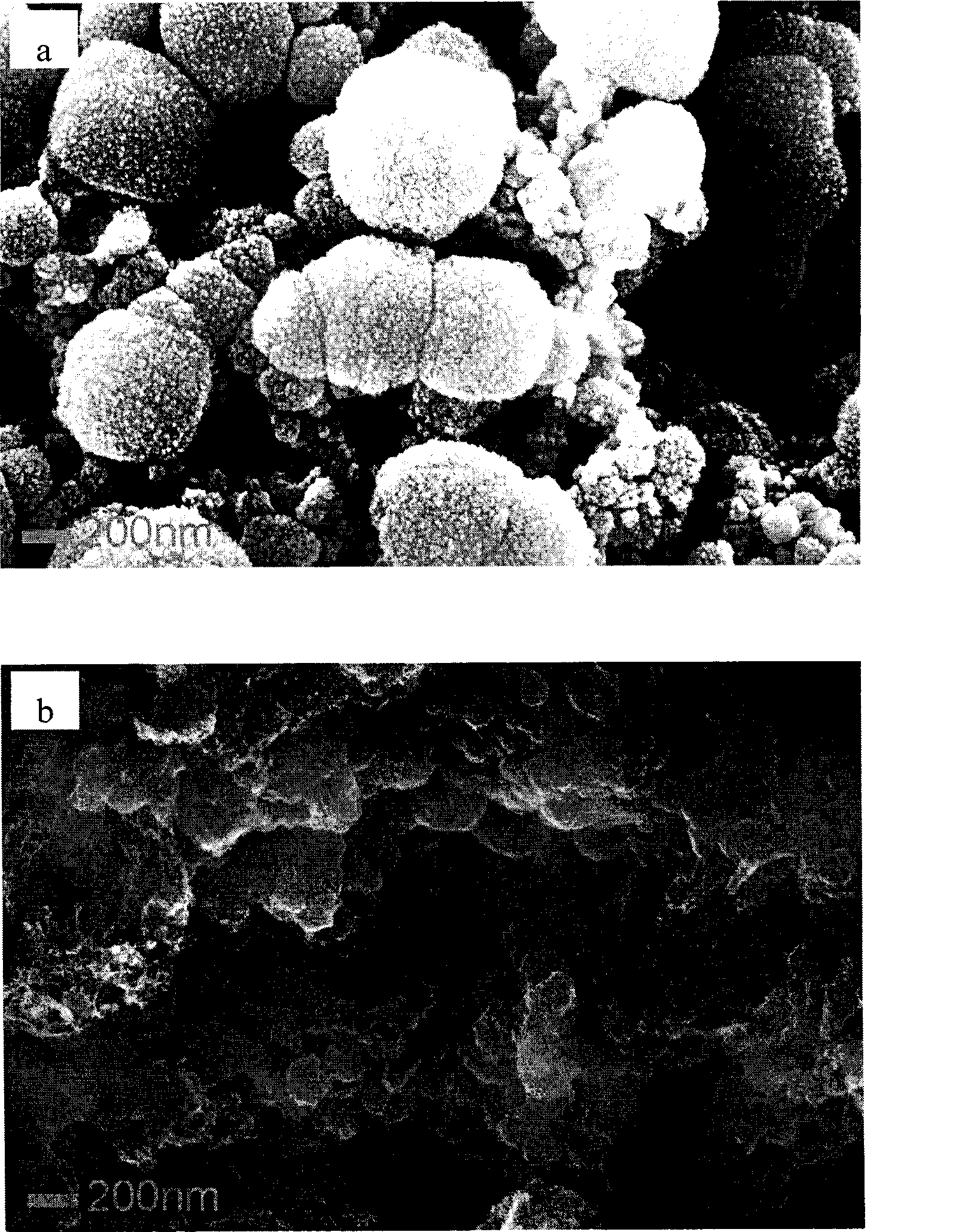 Porous carbon and preparation method thereof