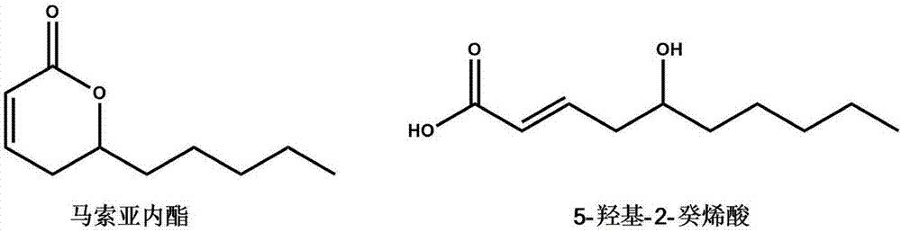 Novel application of massoia lactone and 5-hydroxy-2-caproleic acid