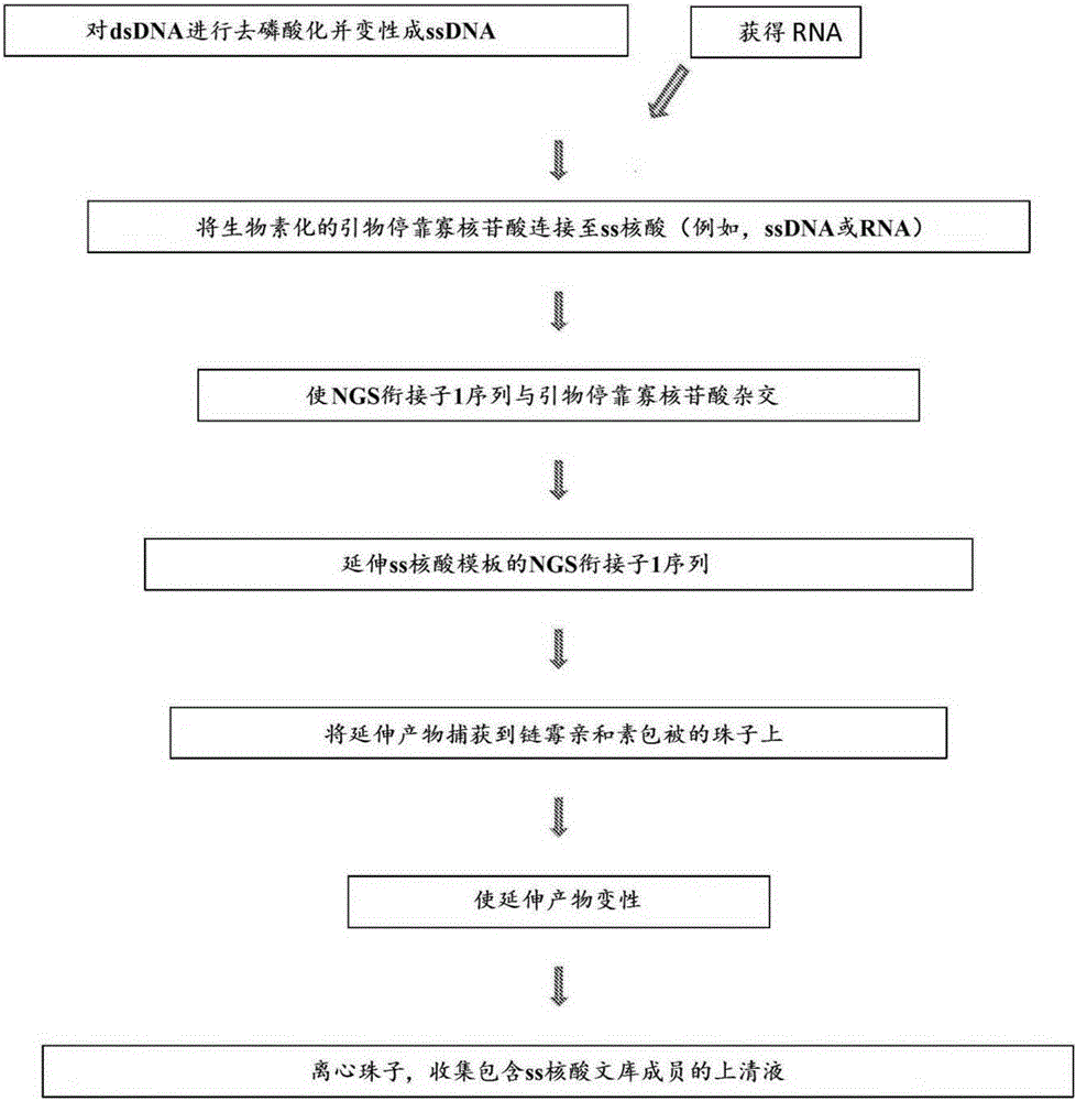 Methods, compositions, and kits for nucleic acid analysis