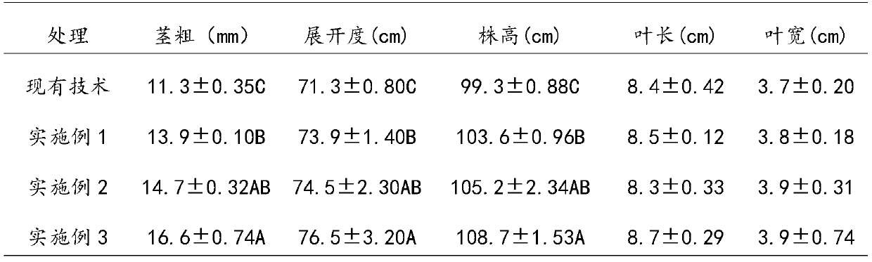 Field planting method for pepper seedlings in holes