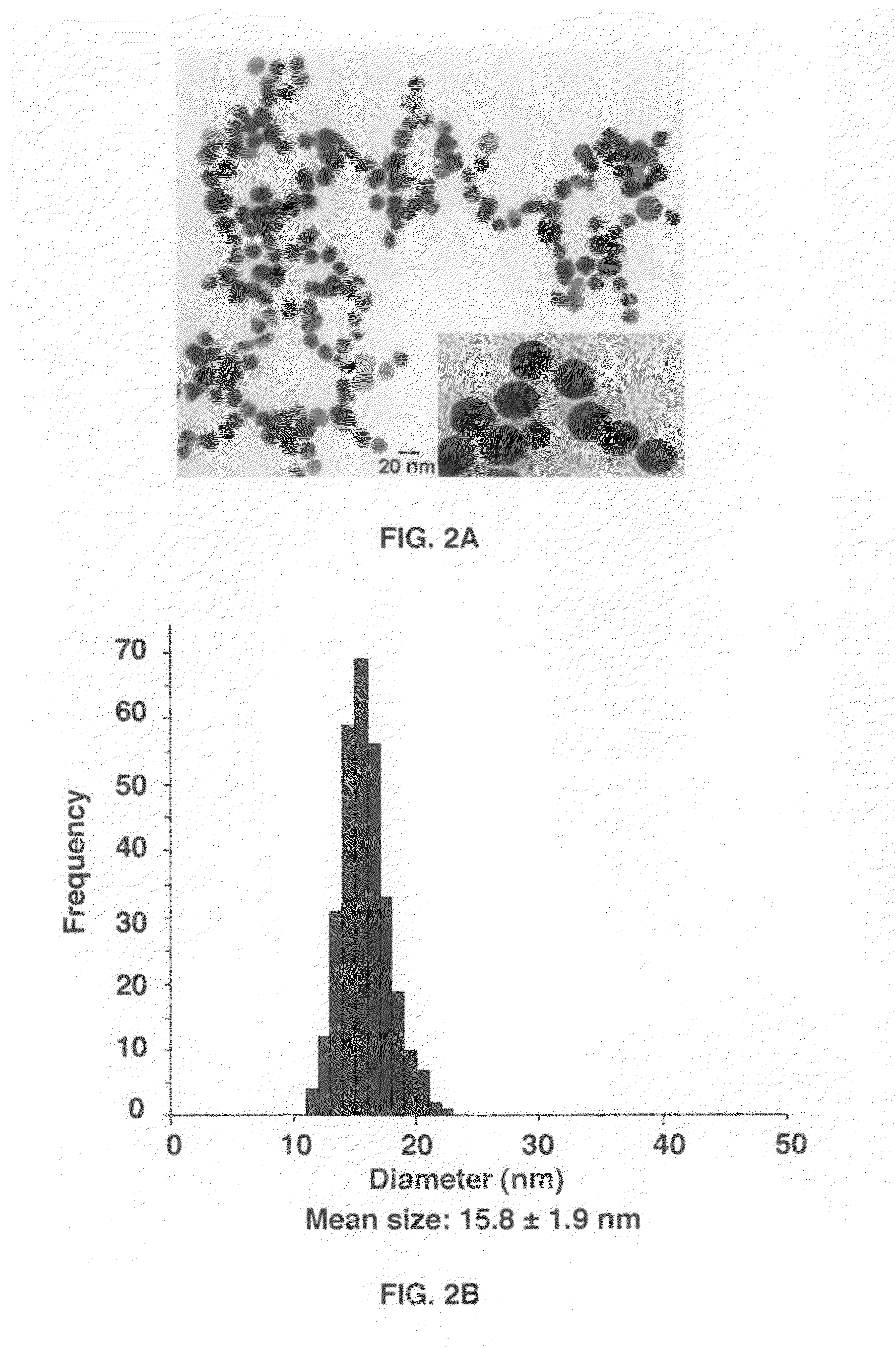 Gold nanoparticle imaging agents and uses thereof