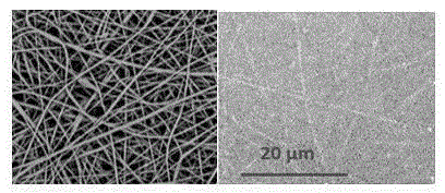 Cellulose nanofiber-graphene oxide hybridized composite ultrafiltration membrane and preparation method thereof